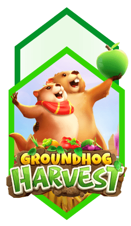 groundhog harvest