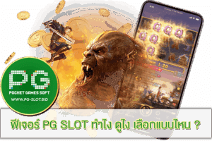 ฟีเจอร์ PG SLOT